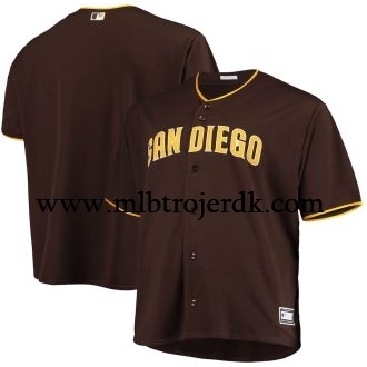 Seaboard Rejsebureau onsdag San Diego Padres – MLB Baseball Trøje,køb MLB tøj
