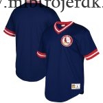 Mænd St. Louis Cardinals MLB Trøjer Mitchell & Ness Navy Big & Tall Mesh V-Neck